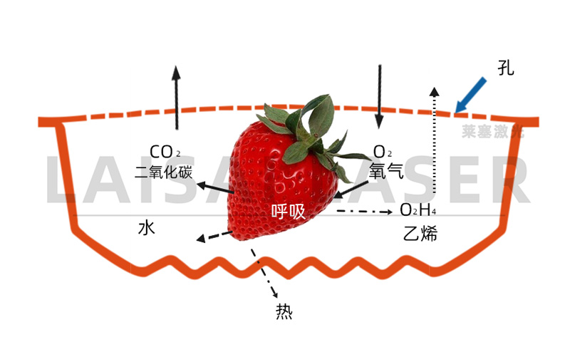 激光打孔——?dú)庹{(diào)果蔬保鮮包裝運(yùn)用方案(圖3)